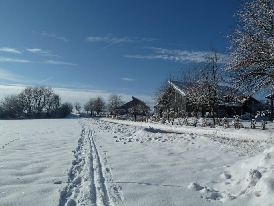 Snow and ski sports
