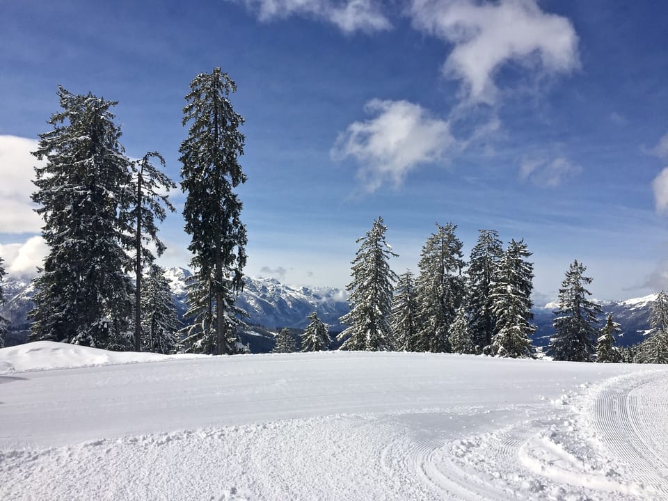 Snow and ski sports