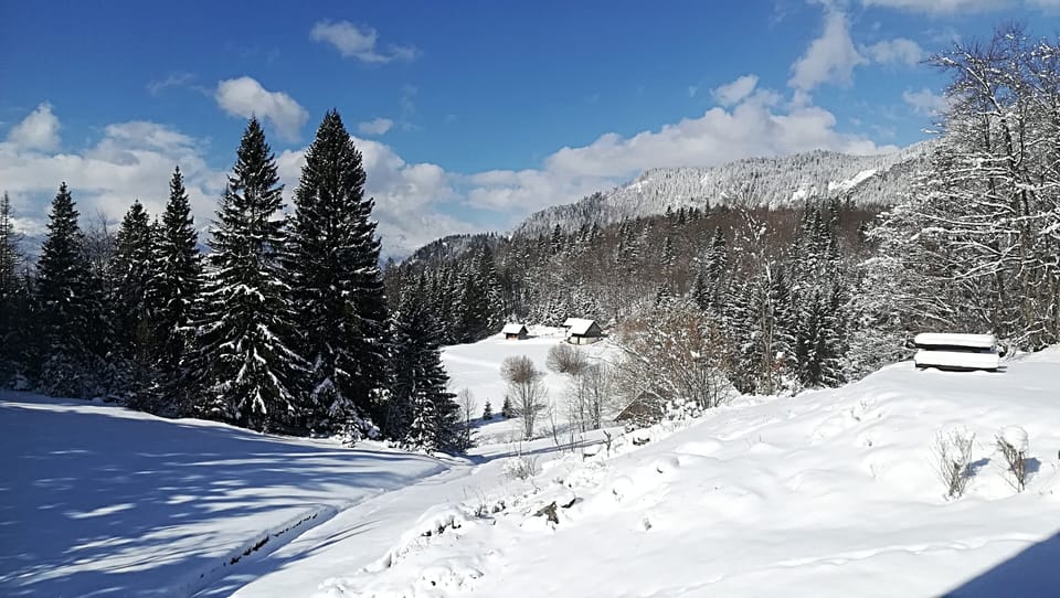 Snow and ski sports