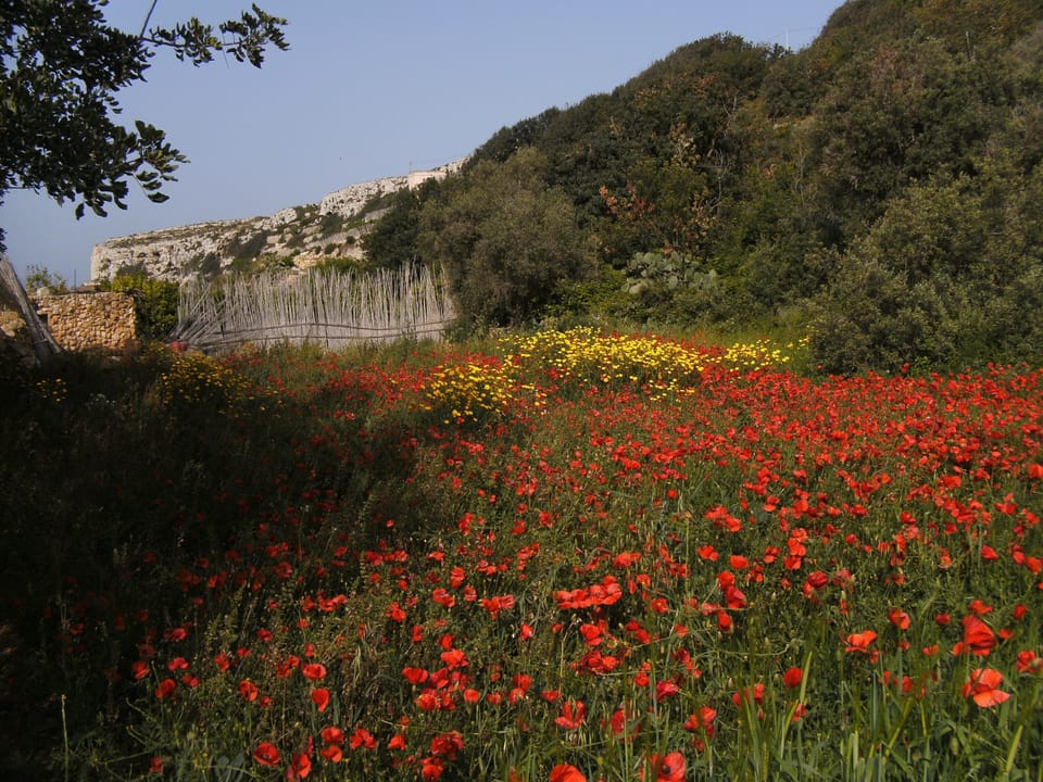 Spring in San Blas Valley