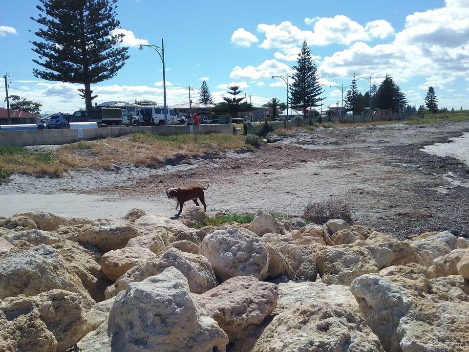 Safety Bay Foreshore