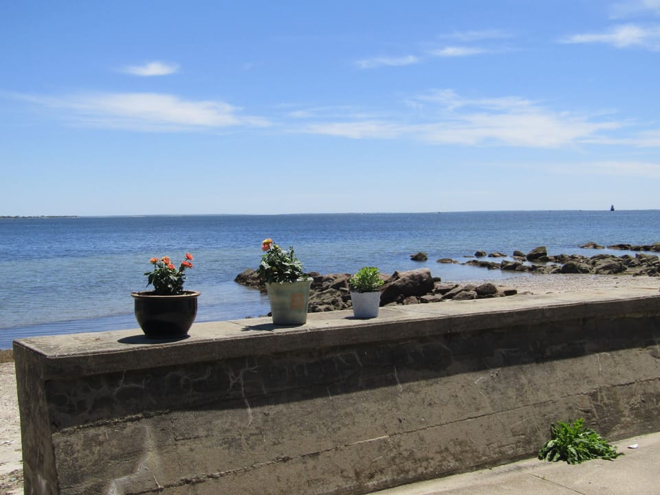 view off the patio