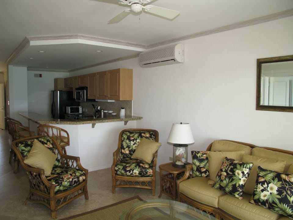 Living Room / Kitchen