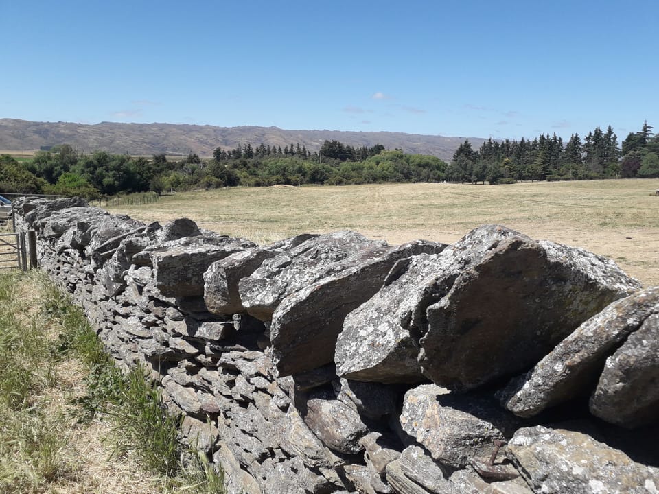 Old stone walls around sheep yards.
