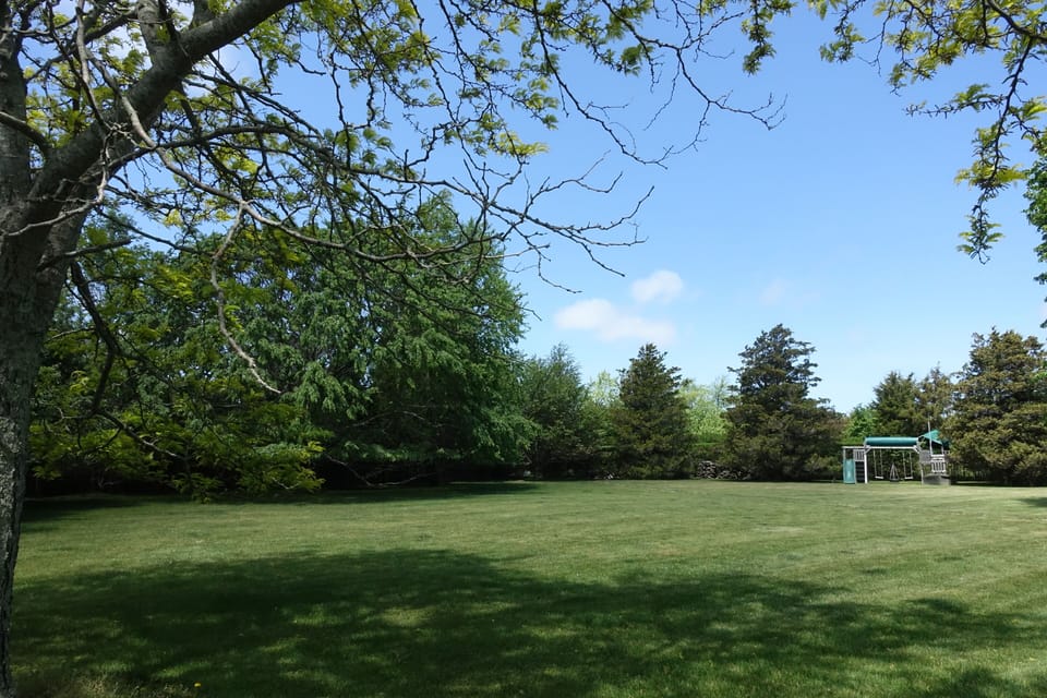 Swing Set and Space to Play