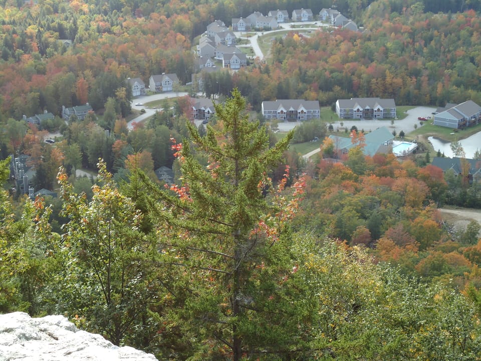 View looking Down from the Mountian at Forest Ridge