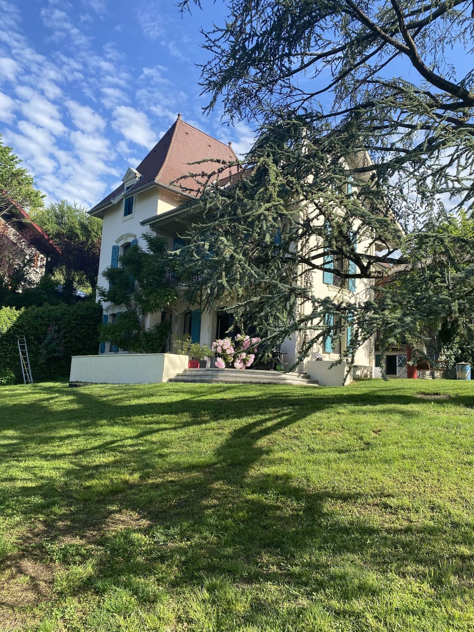 The house & its garden