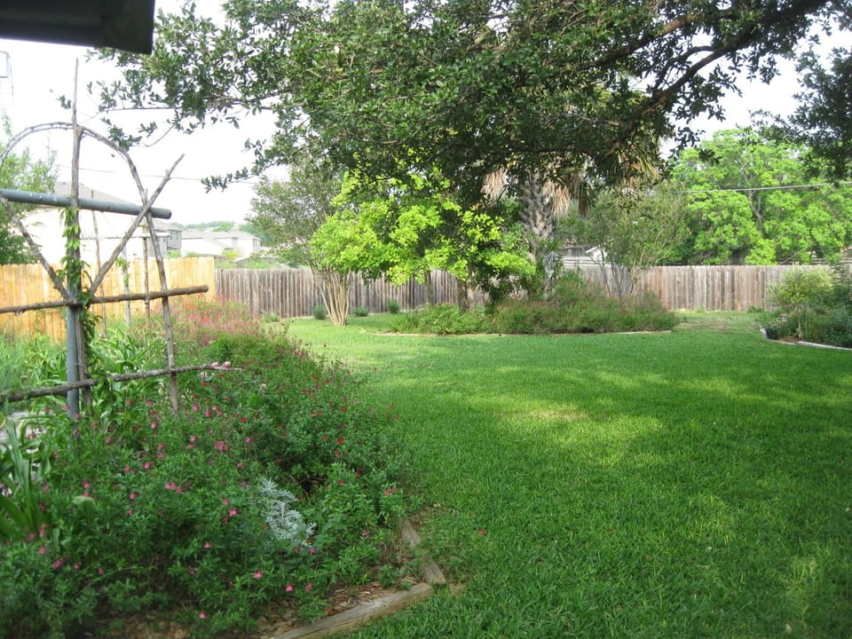 Spacious Backyard
