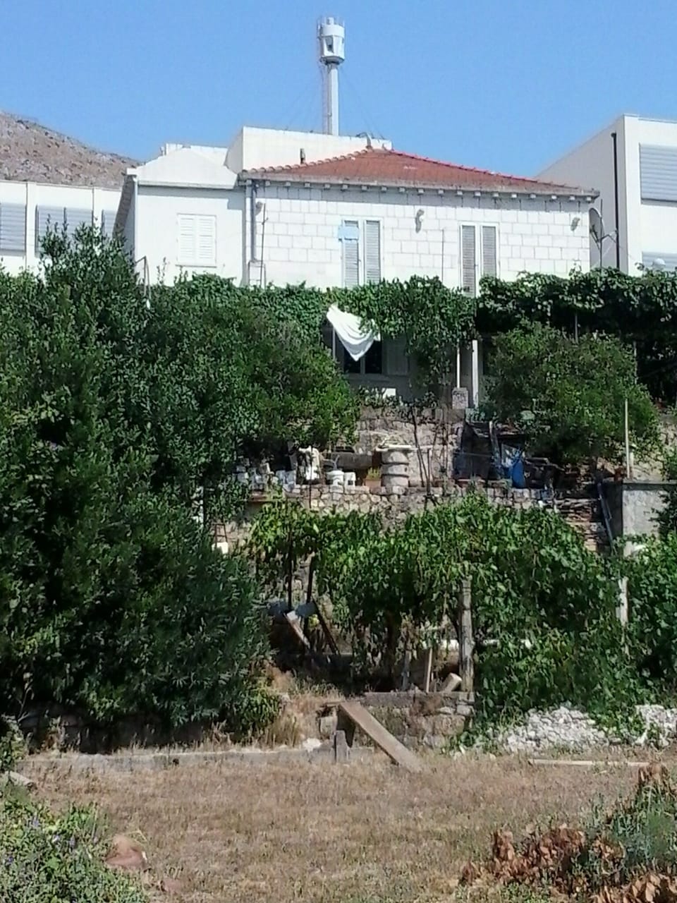 My house from down garden