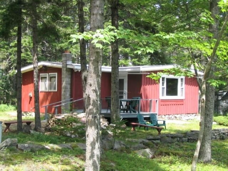 Oasis in the woods