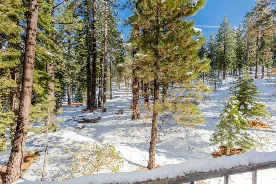 Secluded View From Side Deck!