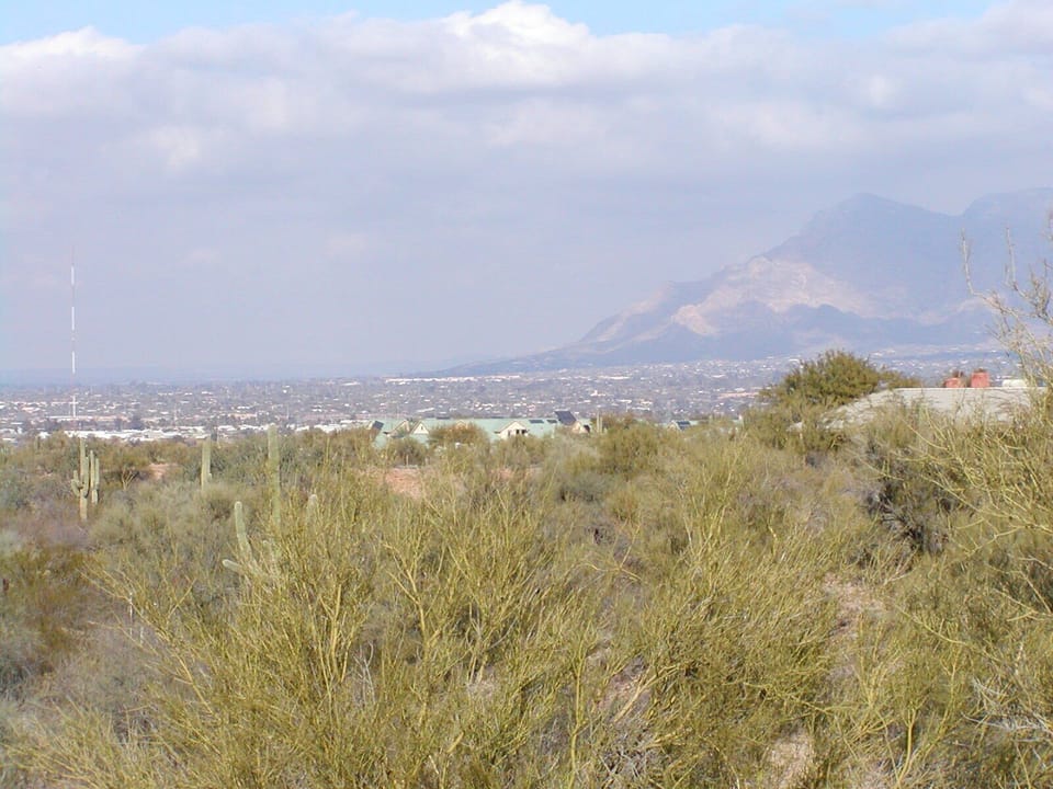 The desert and city merge in the distance