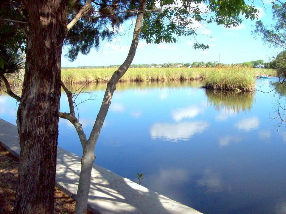 Looking west from North side of property