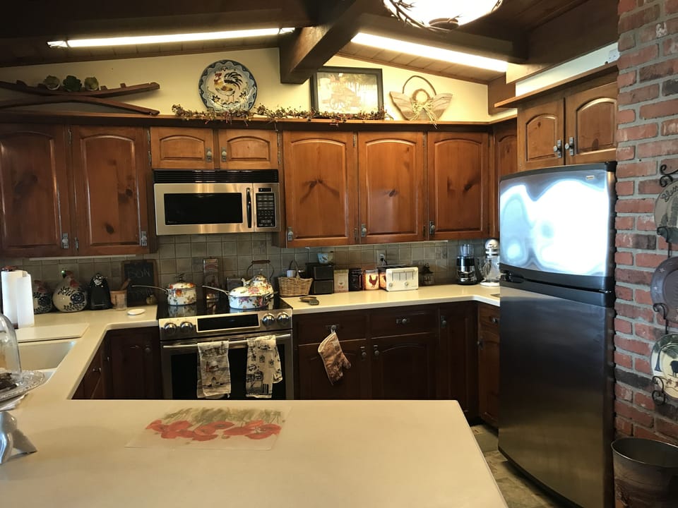 Country kitchen with upscale appliances and pass-through lake view 