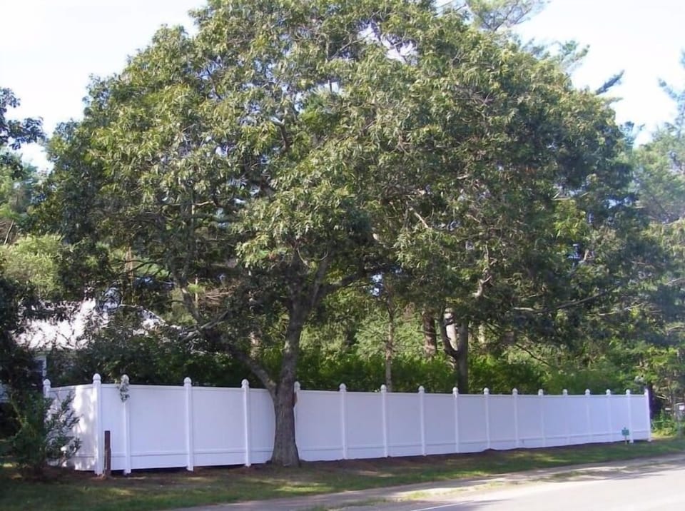 New privacy fence