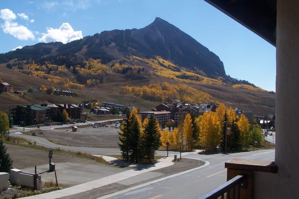 Autumn view from balcony.