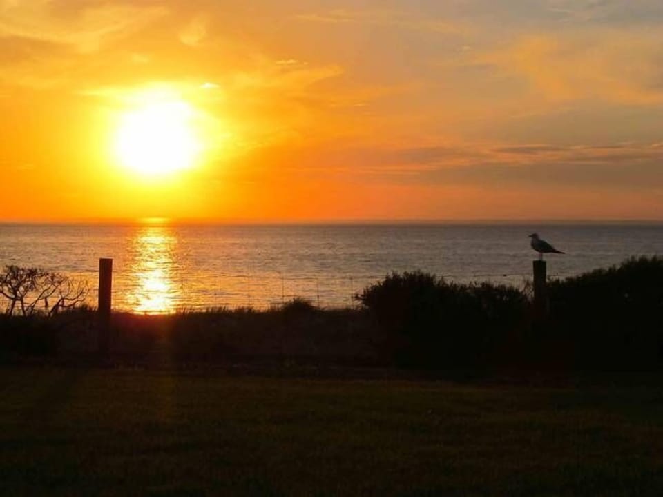 Always a sunset to entertain