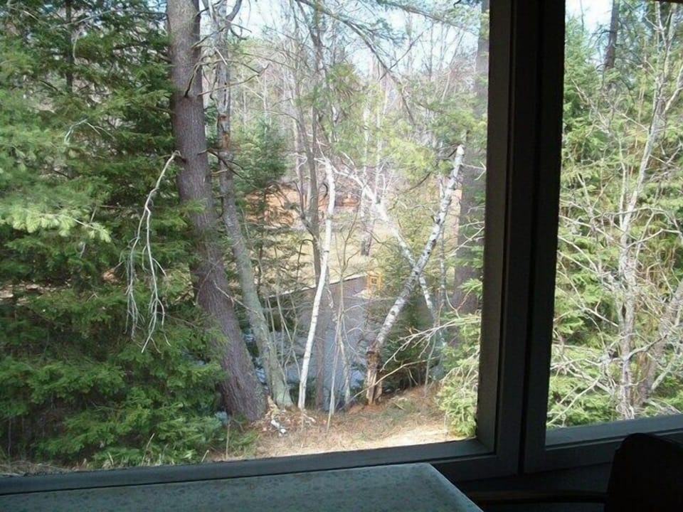 Down stream view of river from screened-in porch