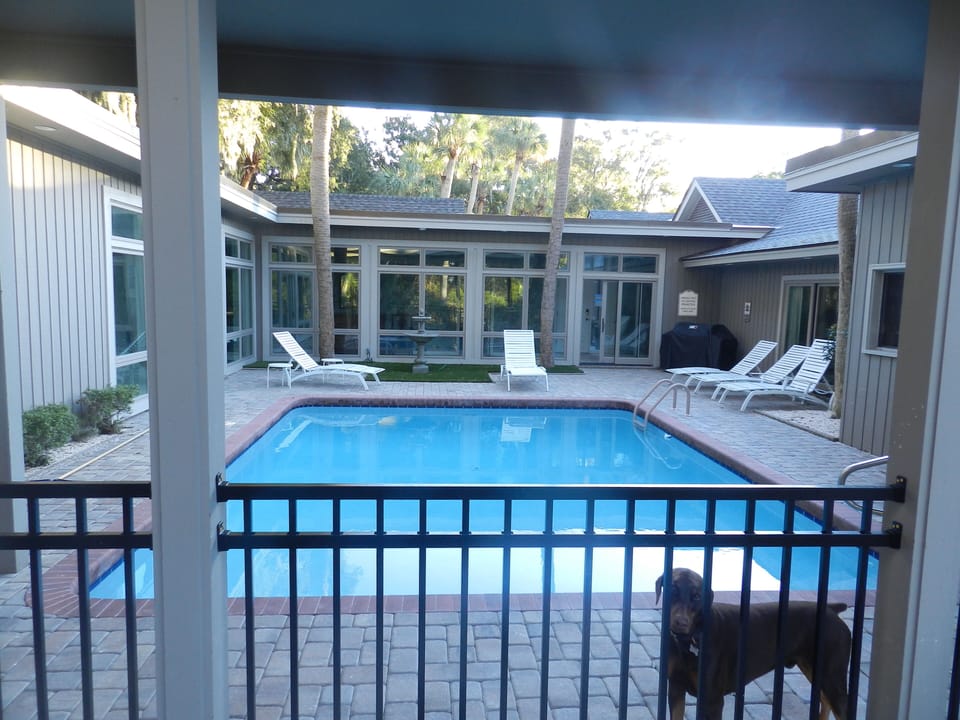 Fenced pool & patio to share safely with our dogs