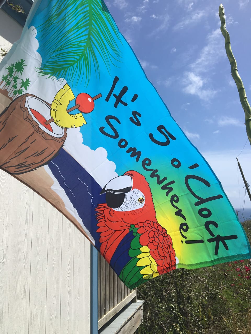 Always fun to be had at Tradewinds!