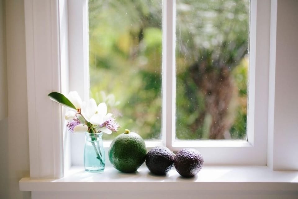 Kitchen window