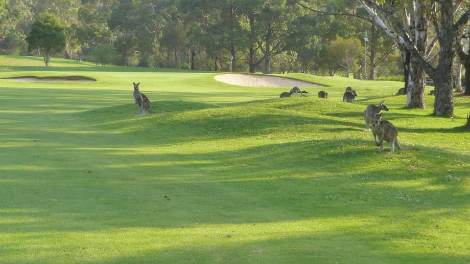 Pambula Merimbula Golf Course