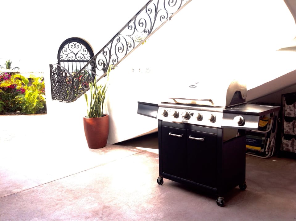 Propane BBQ for grilling