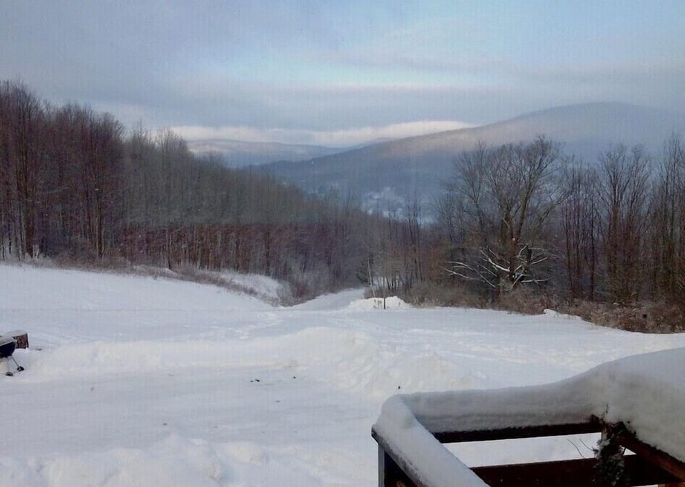 Winter view from the deck