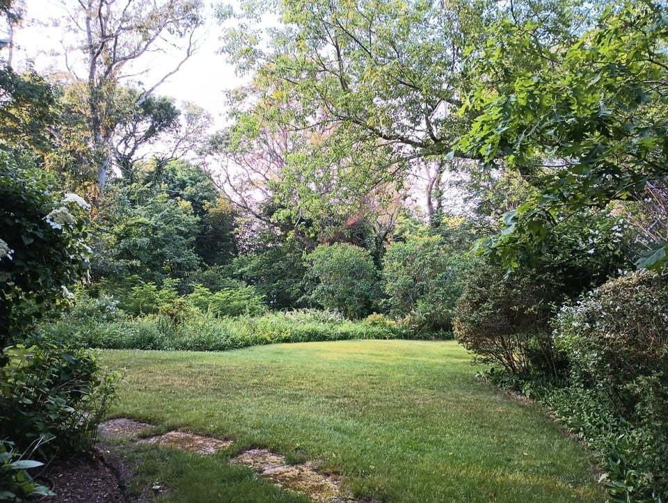 View of private garden