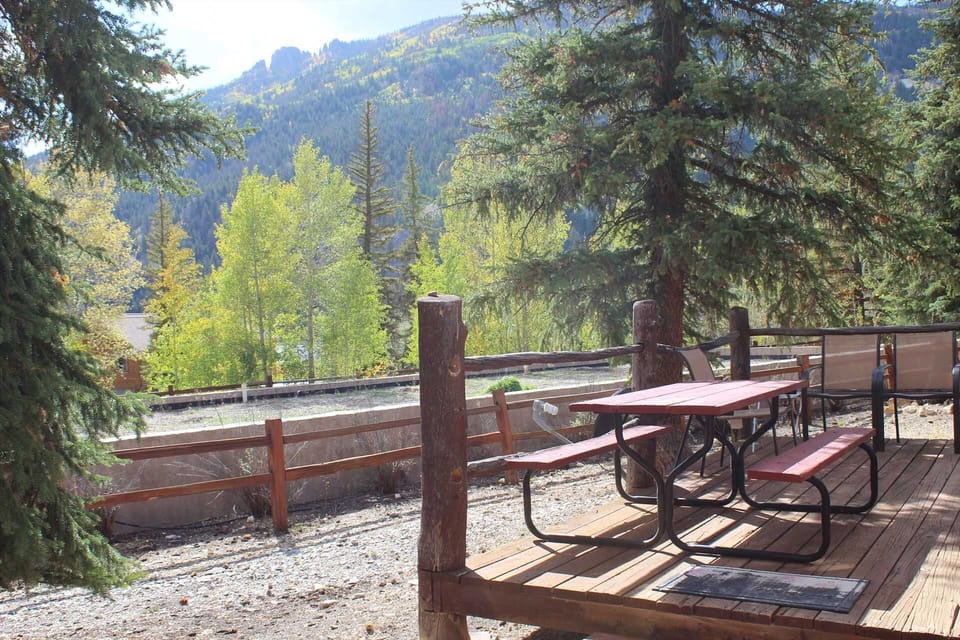 Deck with Picnic Table
