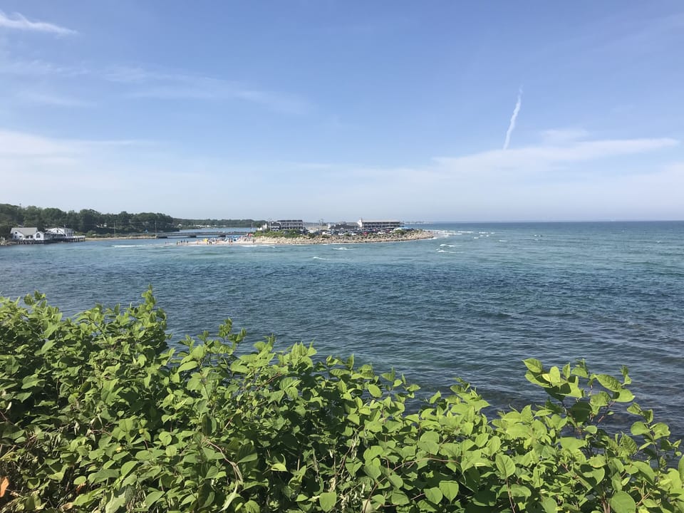 Marginal Way View at High Tide