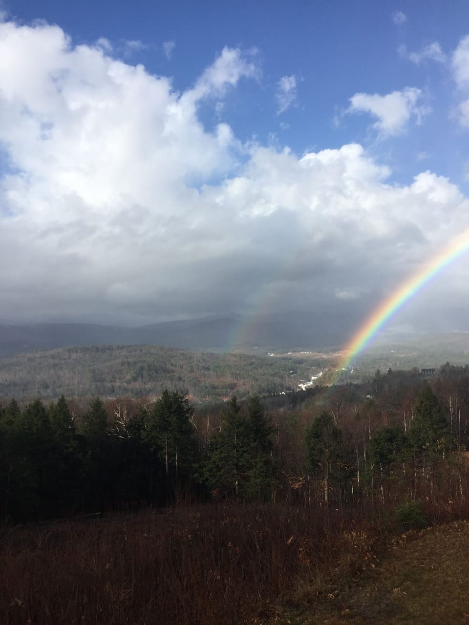 Rainbow Views