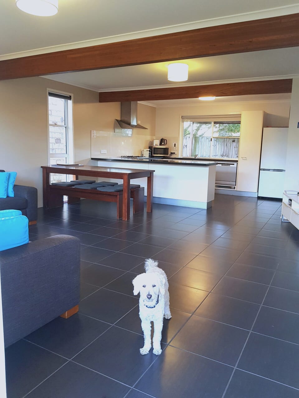 Open plan Living, Dining, Kitchen.