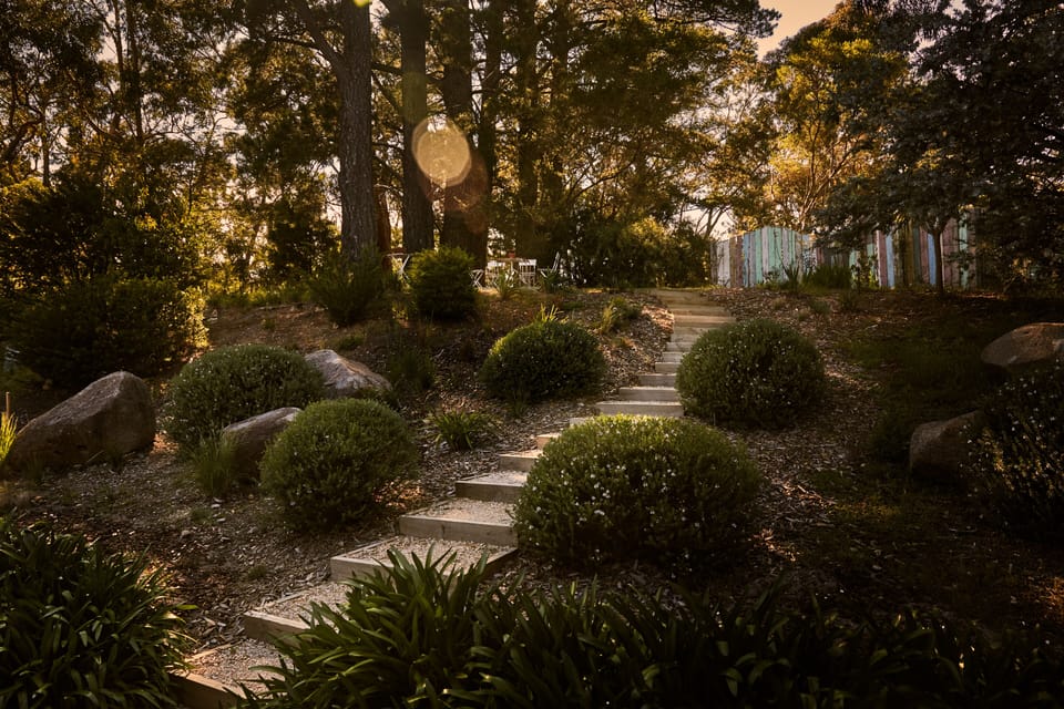 Take the steps to the woods