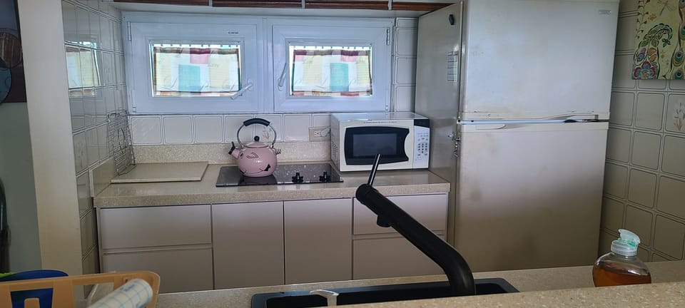 stovetop, counter, microwave and refrigerator.
blender in storage
