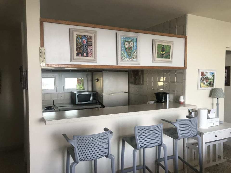bar stools & counter