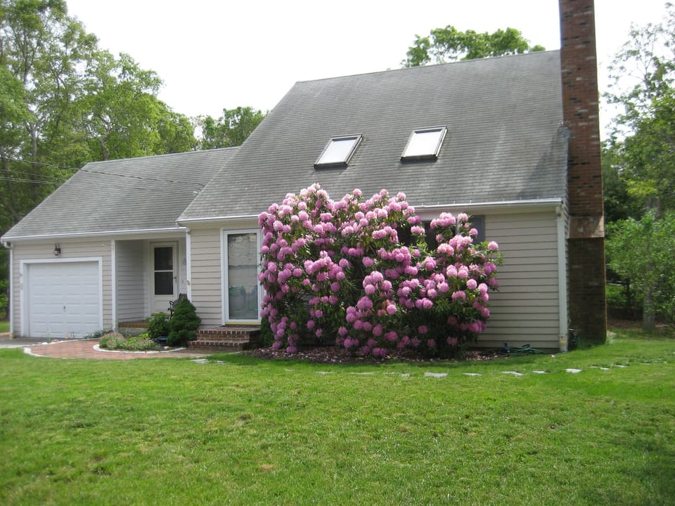 Play tag around the house safely--front lawn to back!  