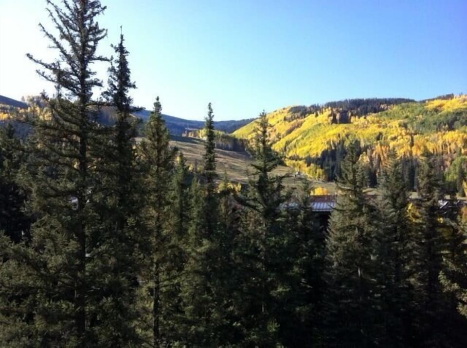 the view from our patio showing the fall colors