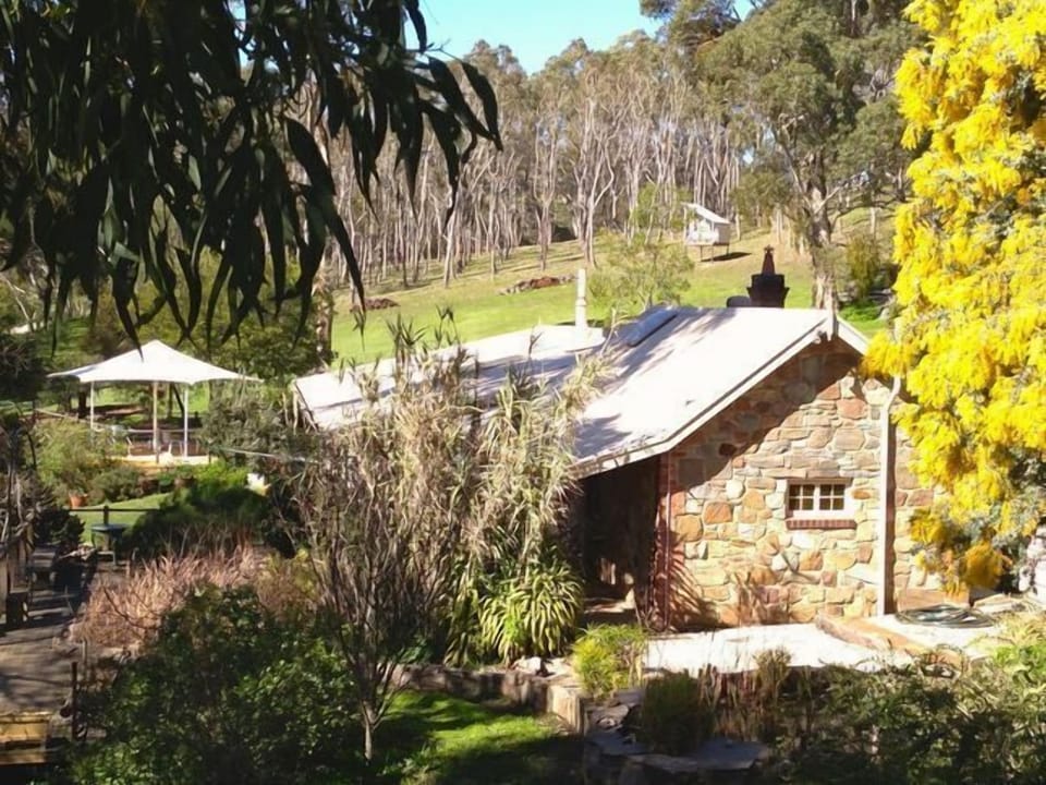 Cottage and house
