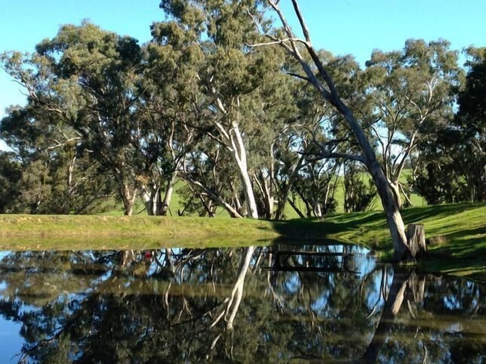 Main dam