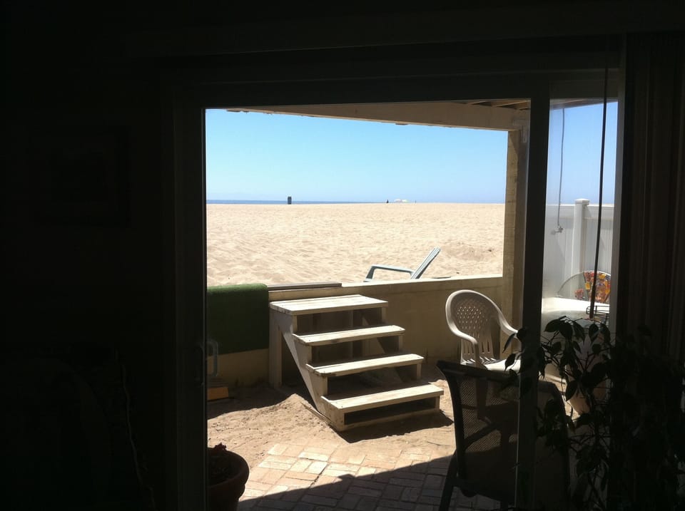 Backyard from Patio