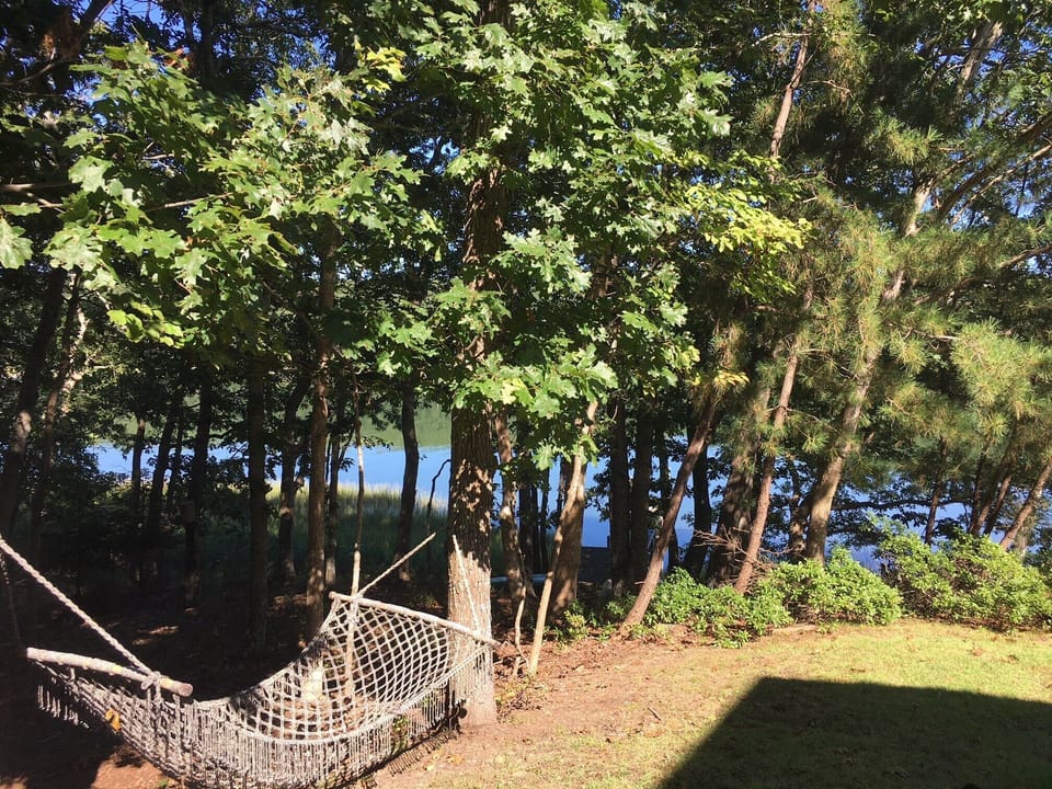 Hammock