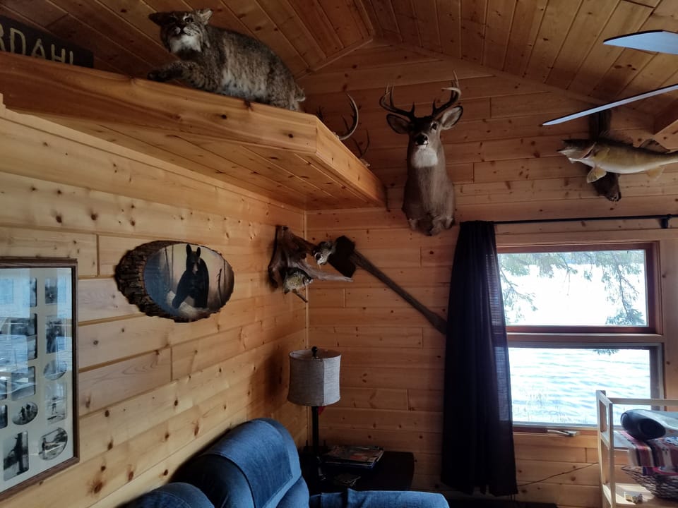 living room trophys