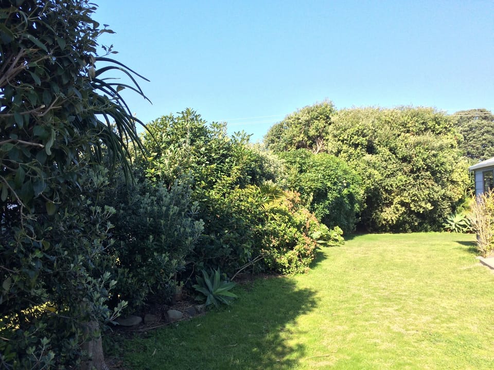 Established trees for shade and shelter. Over the fence is the primary school. 