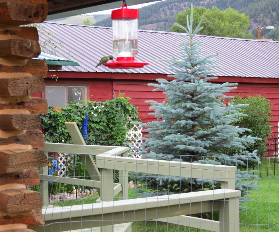 View from Side of Cabin