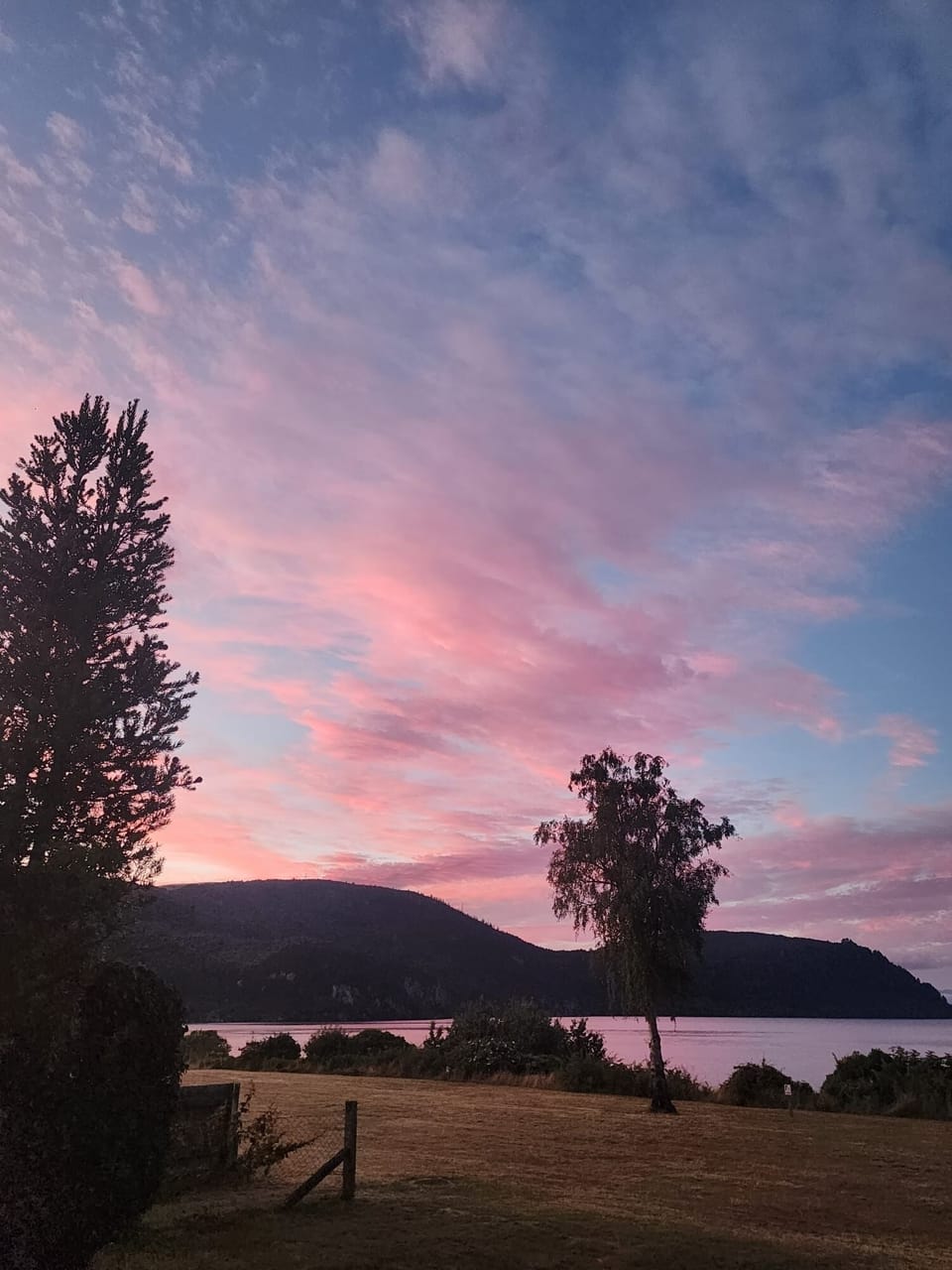 Evening sunset