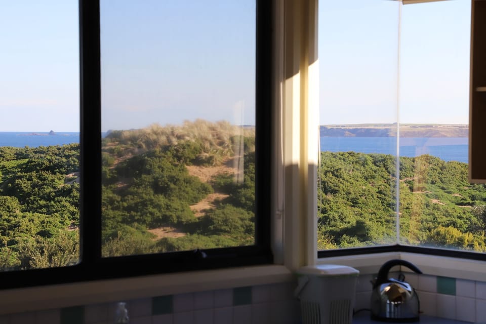 View from Kitchen