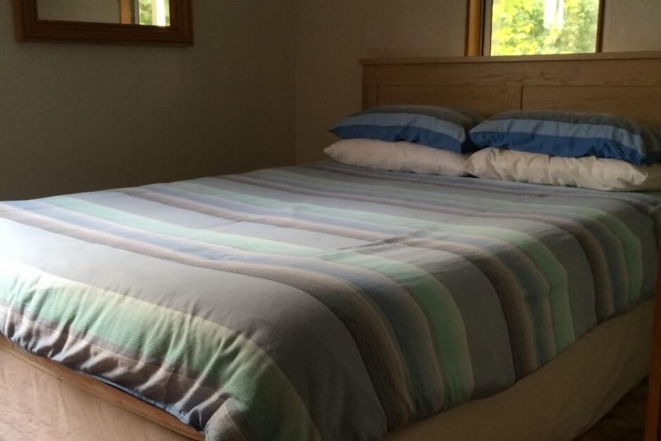 Downstairs bedroom