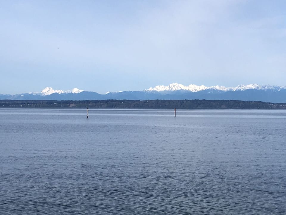 Magnificent Olympic Mountains!