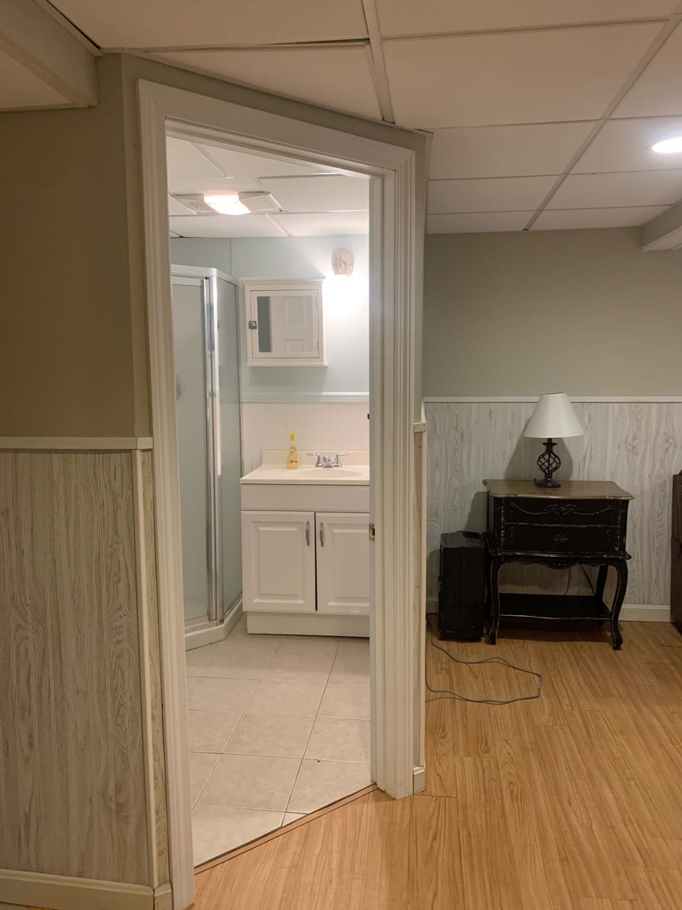 Downstairs family room and full bath l 